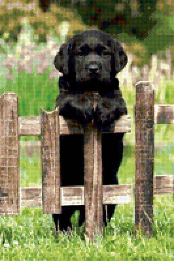 №424490 - предпросмотр