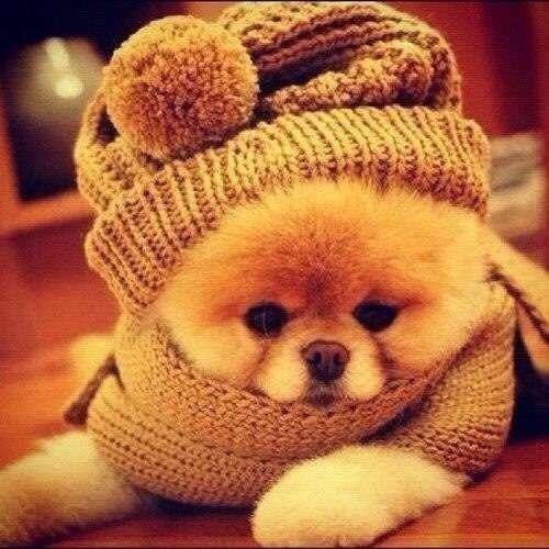 №424500 - оригинал