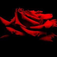 Схема вышивки «красная роза»