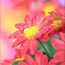 Схема вышивки «№424698»