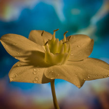 Оригинал схемы вышивки «№424722»