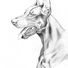 Схема вышивки «доберман»