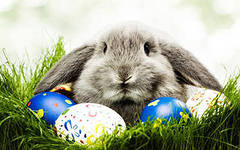 №425144 - праздники - оригинал