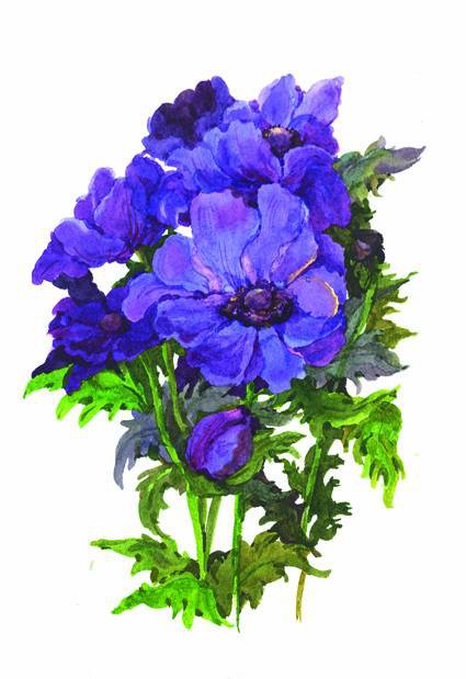 №425179 - оригинал