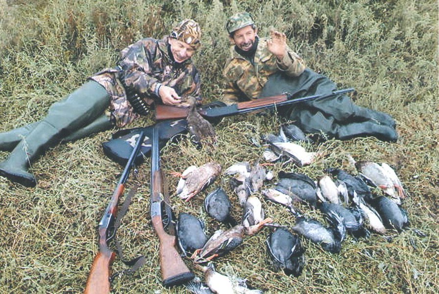 №425205 - оригинал