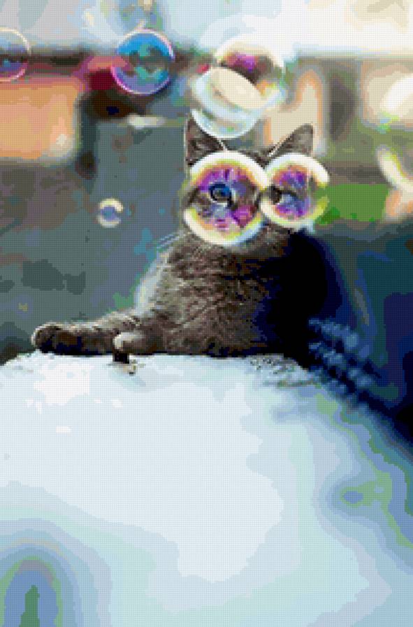 кот - кот, коты - предпросмотр