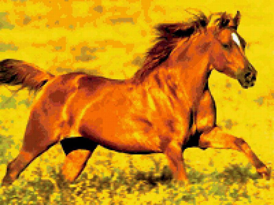 Золотой конь - кони - предпросмотр