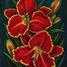 Оригинал схемы вышивки «Красные лилии» (№425271)