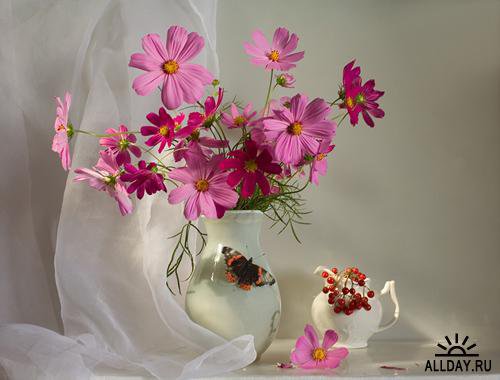 №425334 - цветы, букет, натюрморт, игорь колесов - оригинал