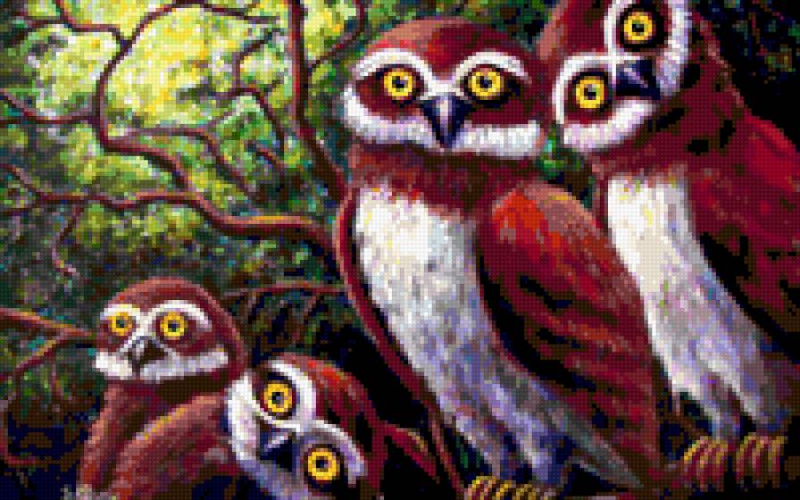 Совы - природа, животные, совы - предпросмотр