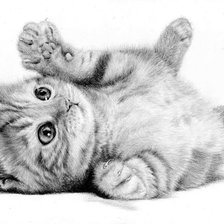 Схема вышивки «Котенок»