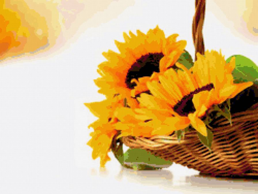 подсолнухи_1 - подсолнухи - предпросмотр