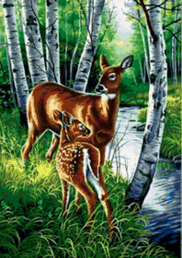 №425939 - предпросмотр