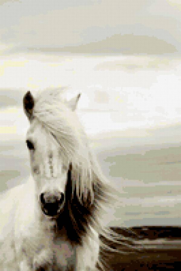 лошадь - скакун, лошадь, природа, животное - предпросмотр