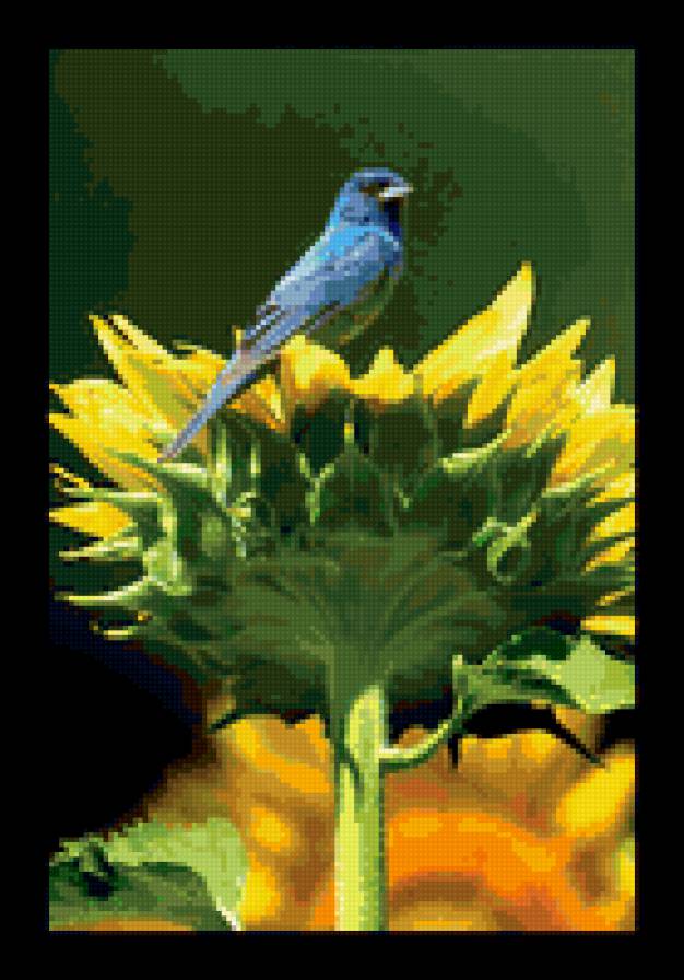 птичка - природа, цветы, птичка, подсолнух, животные - предпросмотр