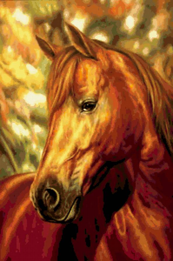 Лошадка - животные, лошади - предпросмотр