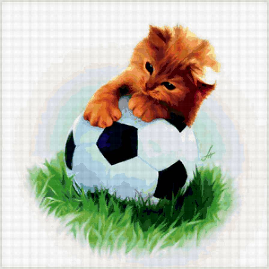 Котенок-футболист - кошки, животные - предпросмотр