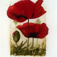 Схема вышивки «маки»