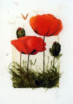 маки - оригинал