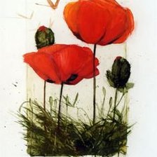 Схема вышивки «маки»