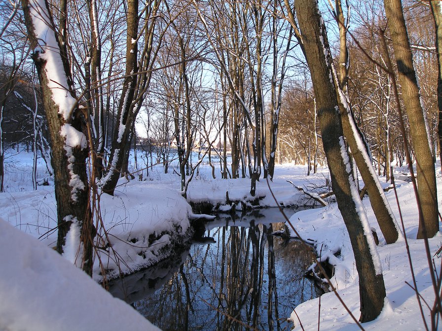 Зимушка - деревья, пейзаж, зима, ручей - оригинал