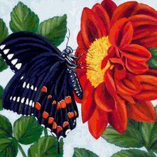 Оригинал схемы вышивки «Бабочка на цветке» (№426272)
