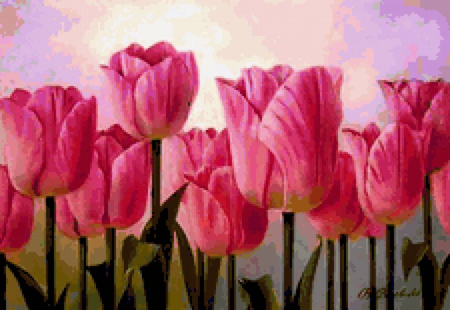 ТЮЛЬПАНЫ - цветы тюльпаны - предпросмотр