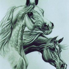 Схема вышивки «№426656»