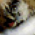 Предпросмотр схемы вышивки «снежный барс 2» (№426704)