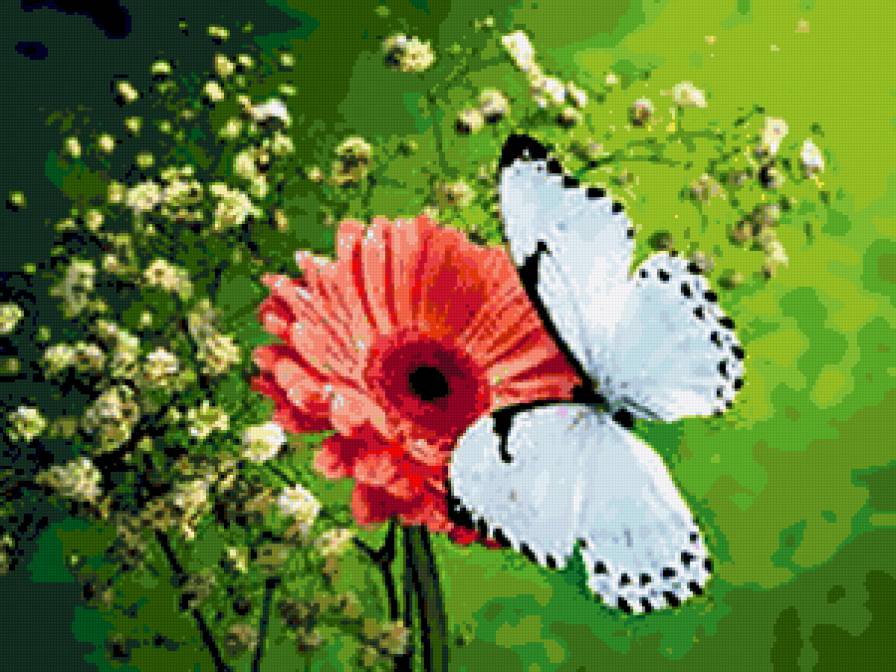 №426714 - цветы и бабочки - предпросмотр