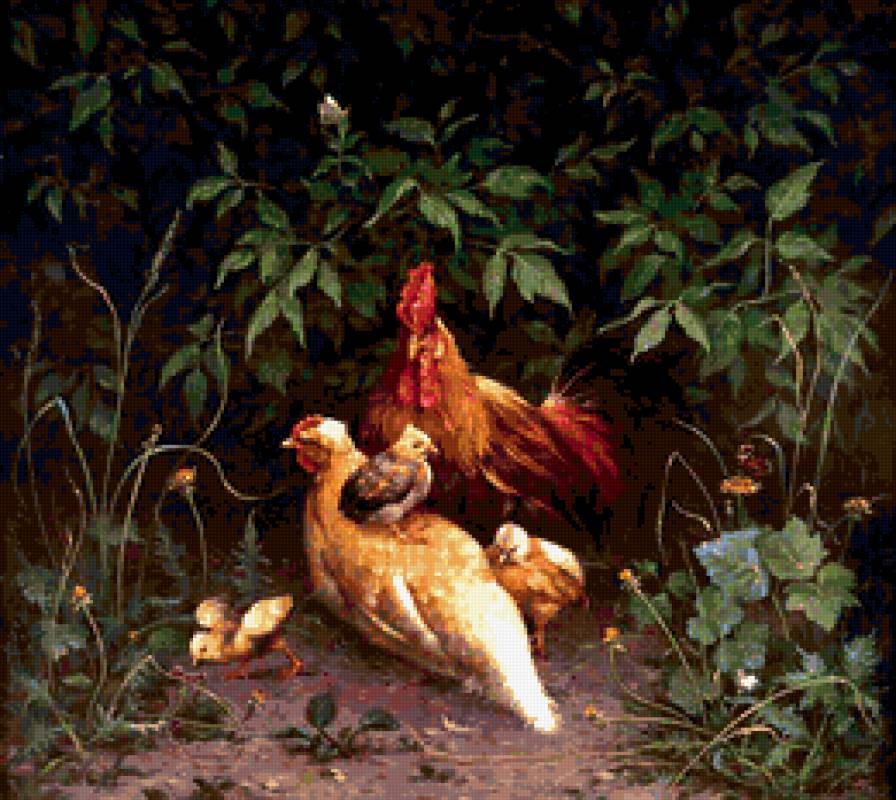 семья кур - куры, петух, цыплята, хозяйство, птицы - предпросмотр