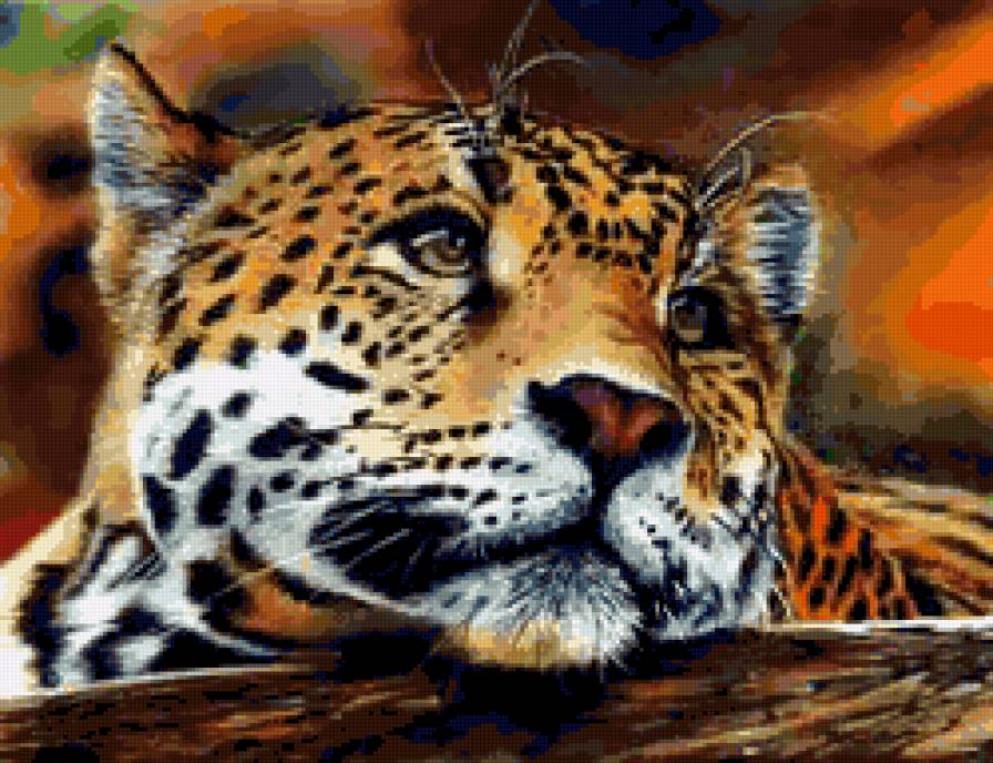 №426744 - природа, животные, леопард, дикие кошки - предпросмотр