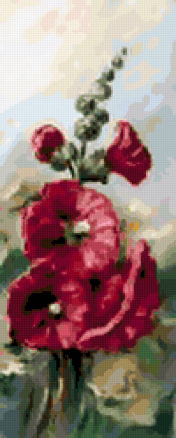 malwy - malwy, kwiaty - предпросмотр