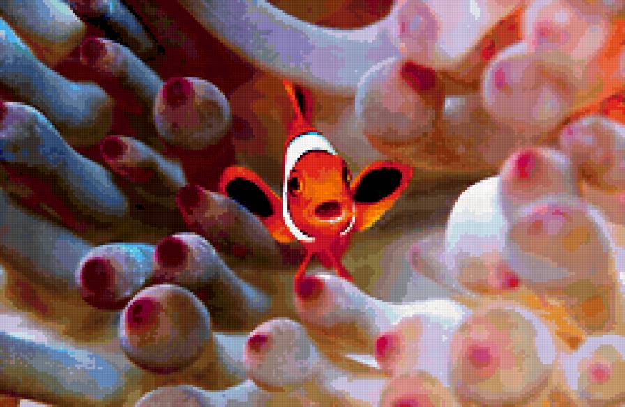 рыбка - рыбы, вода, животные, природа - предпросмотр