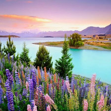 Схема вышивки «озеро»