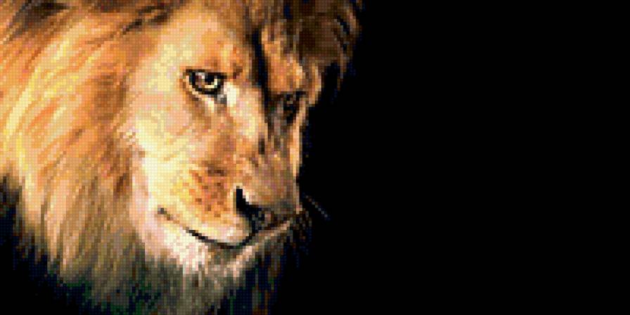 №427163 - лев. - предпросмотр