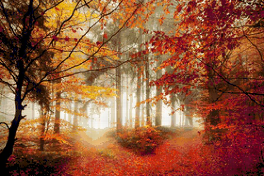 ОСІНЬ В ЛІСІ - ліс.природа - предпросмотр