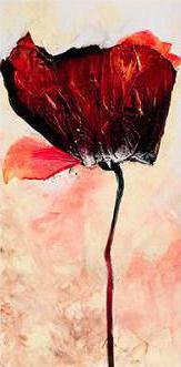 Мак - цветы, маки - оригинал