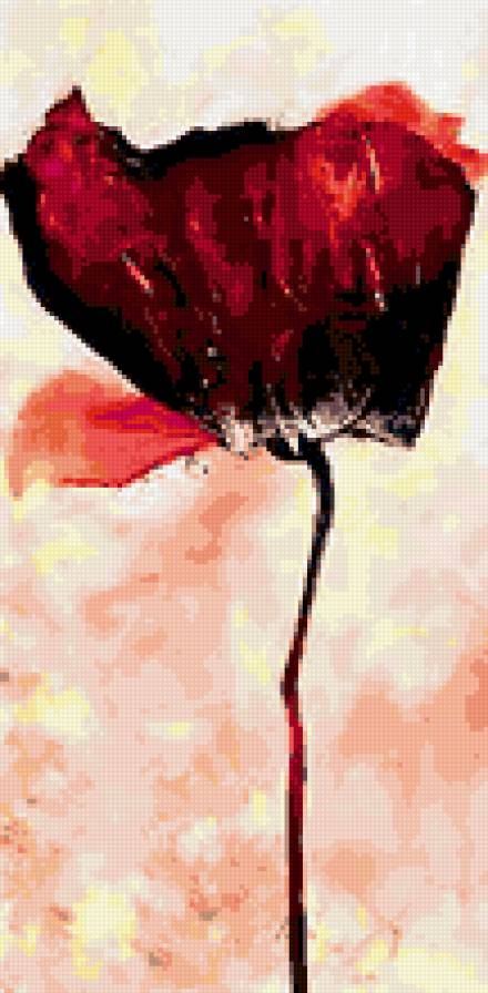 Мак - цветы, маки - предпросмотр