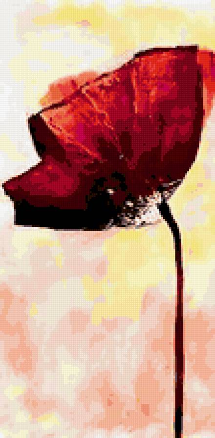 Мак 2 - цветы, маки - предпросмотр