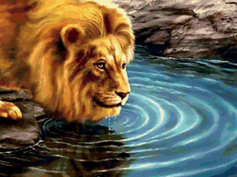 водопой - предпросмотр