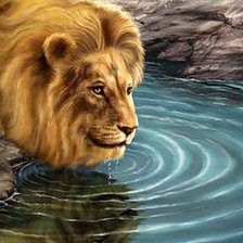 Схема вышивки «водопой»