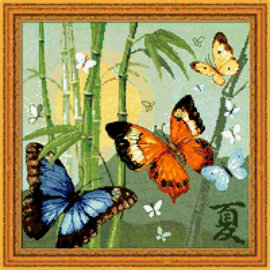 бабочки - предпросмотр