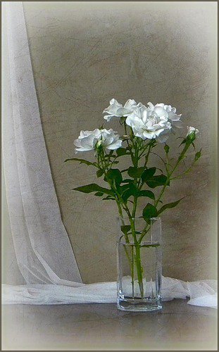 №427545 - букет, цветы, натюрморт - оригинал