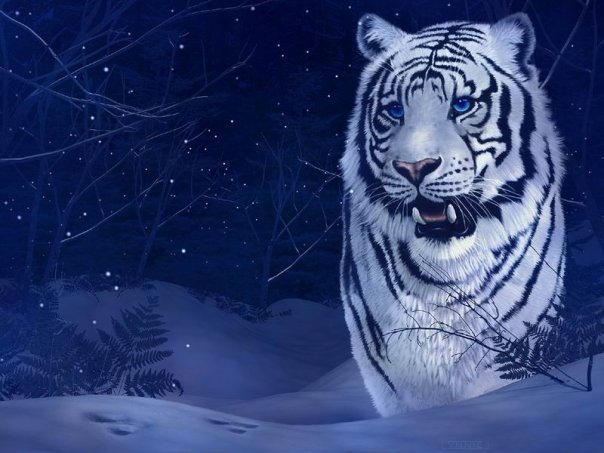 тигр - оригинал