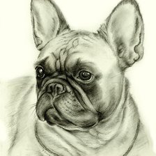 Схема вышивки «франнцузский бульдог»