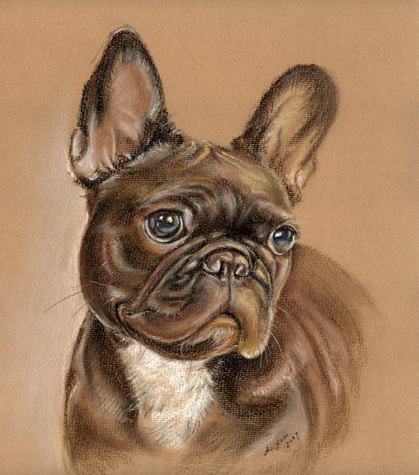 французский бульдог вариант - собаки - оригинал