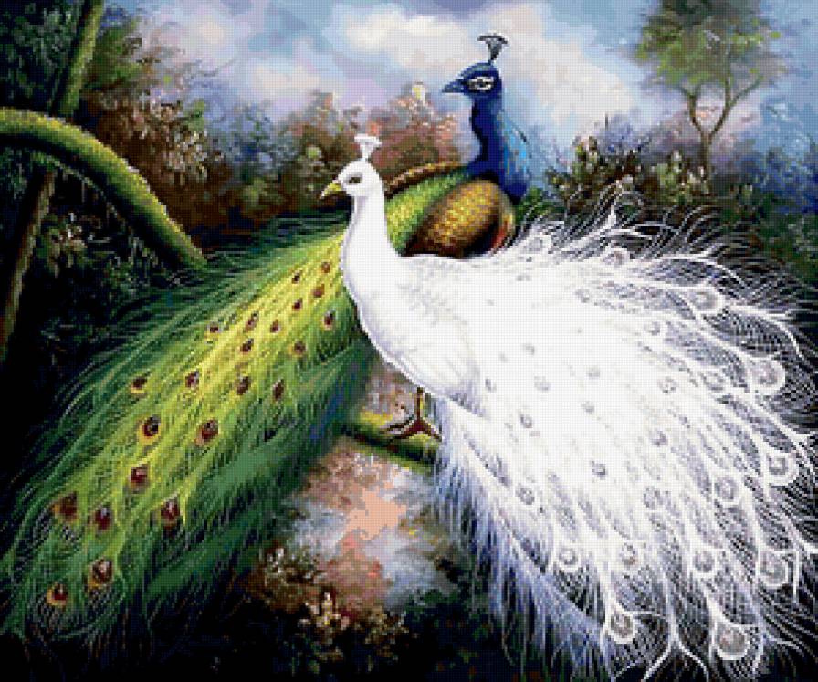 Пара - павлины, фен-шуй - предпросмотр