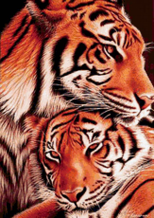 Верность тигра - тигры, пара, верность - предпросмотр