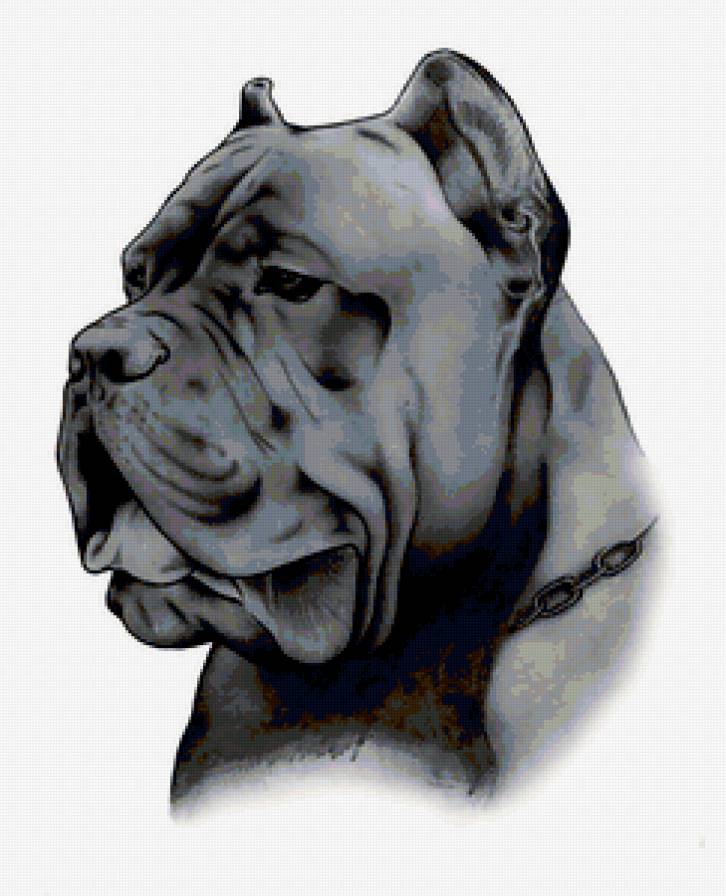 мастиф - собаки - предпросмотр